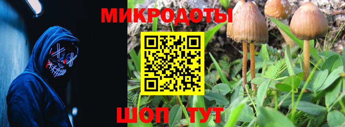 Галлюциногенные грибы Psilocybine cubensis Нижнеудинск