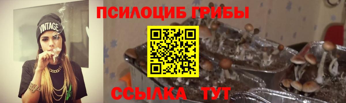купить наркотик  Вход с VPN  Нижнеудинск  Псилоцибиновые грибы ЛСД 